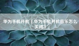 华为手机开机（华为手机开机音乐怎么关闭）