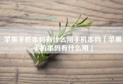 苹果手机串码有什么用手机串码「苹果手机串码有什么用」