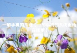 一加手机的系统（一加手机的系统更新在哪里）