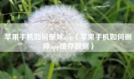 苹果手机如何删除app（苹果手机如何删除app缓存数据）