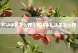 邦华手机怎么样（邦华手机质量怎么样）