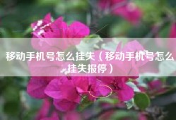 移动手机号怎么挂失（移动手机号怎么挂失报停）