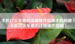 手机订火车票的详细操作指南手机购票「手机订火车票的详细操作指南」