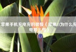 苹果手机充电充的很慢（苹果11为什么充电那么慢）