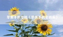 苹果手机变砖（苹果手机变砖头）