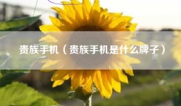 贵族手机（贵族手机是什么牌子）