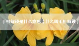 手机解锁是什么意思（什么叫手机解锁）