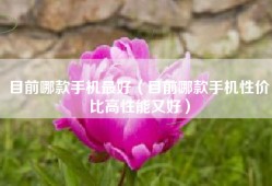 目前哪款手机最好（目前哪款手机性价比高性能又好）