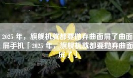 2025 年，旗舰机就都要抛弃曲面屏了曲面屏手机「2025 年，旗舰机就都要抛弃曲面屏了」