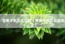 苹果手机怎么贷款（苹果手机怎么贷款买）