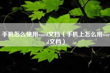 手机怎么使用word文档（手机上怎么用word文档）