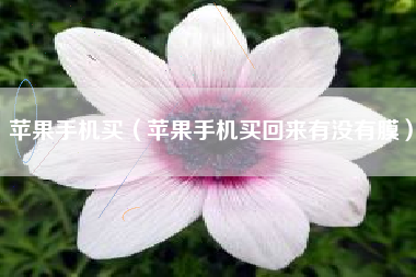 苹果手机买（苹果手机买回来有没有膜）