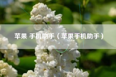 苹果 手机助手（苹果手机助手）