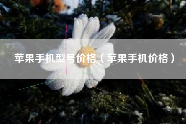 苹果手机型号价格（苹果手机价格）