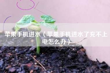 苹果手机进水（苹果手机进水了充不上电怎么办）