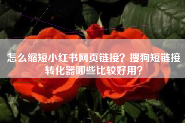 怎么缩短小红书网页链接？搜狗短链接转化器哪些比较好用？
